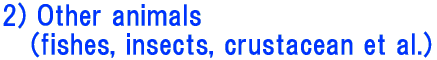 2) Other animals    (fishes, insects, crustacean et al.) 